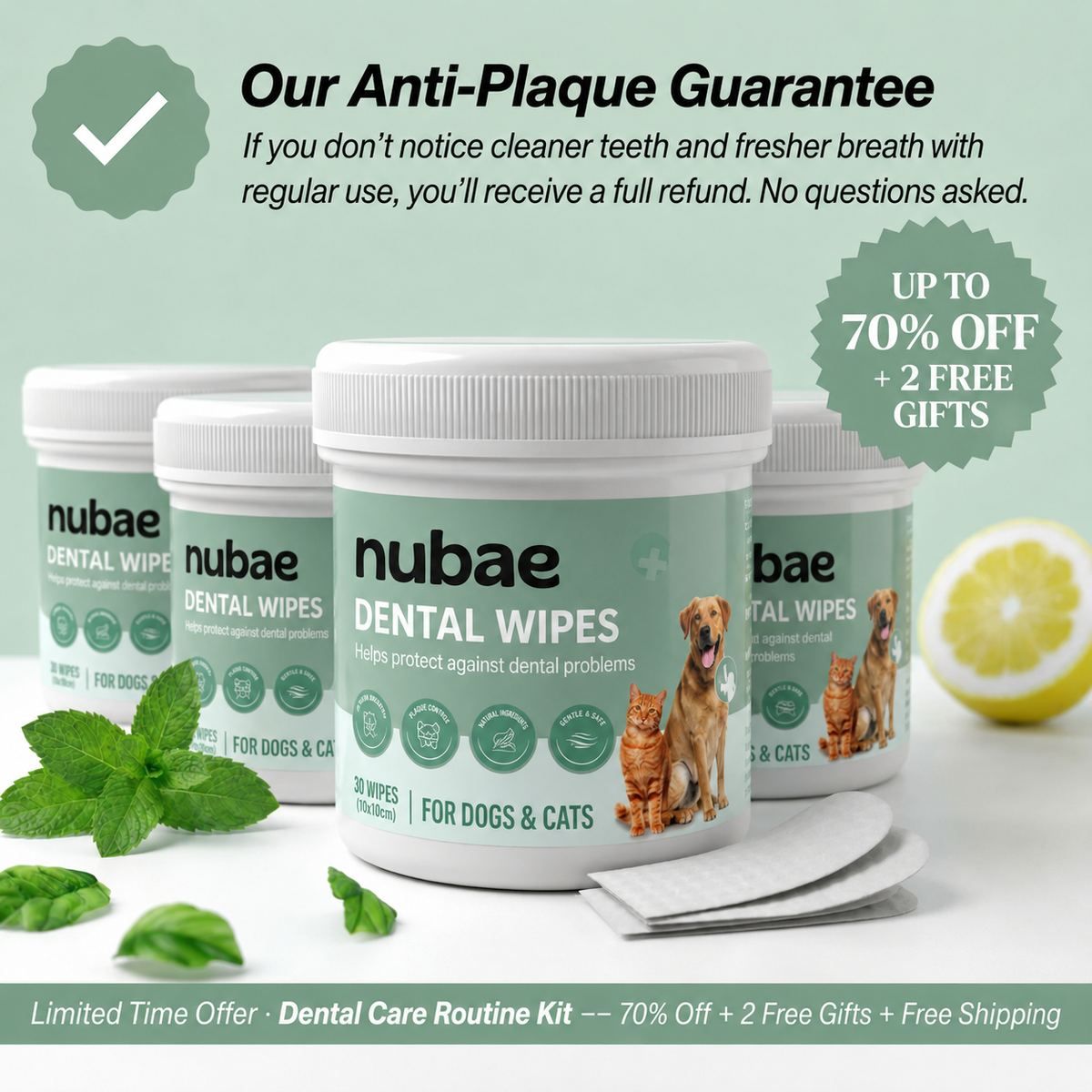 ProCare Dental Wipes