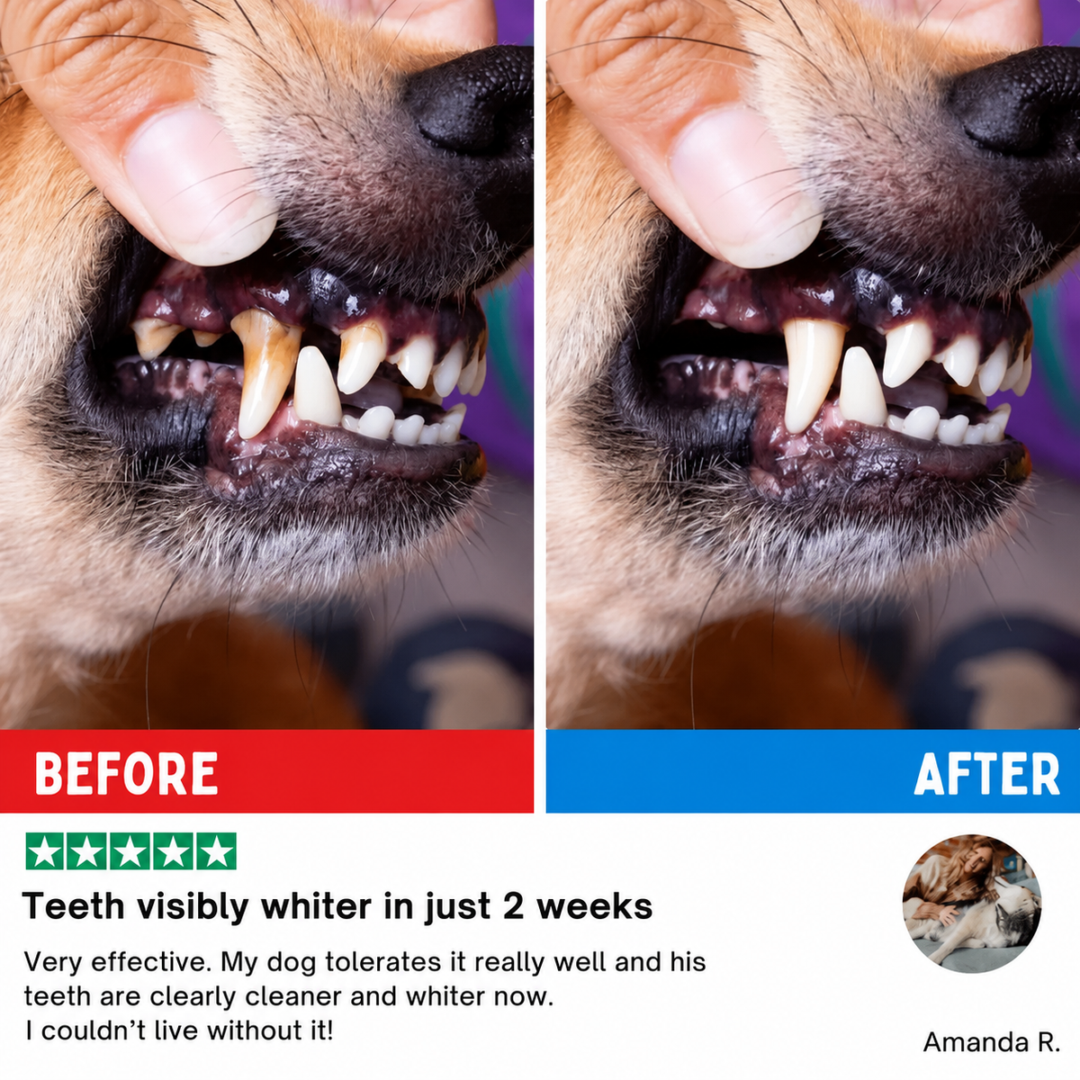 ProCare Dental Wipes