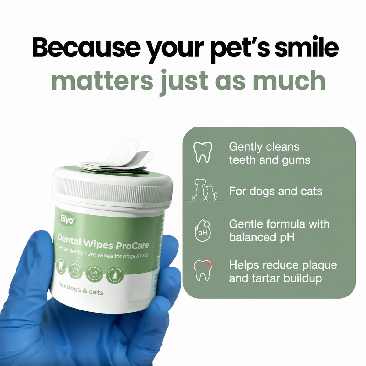 ProCare Dental Wipes