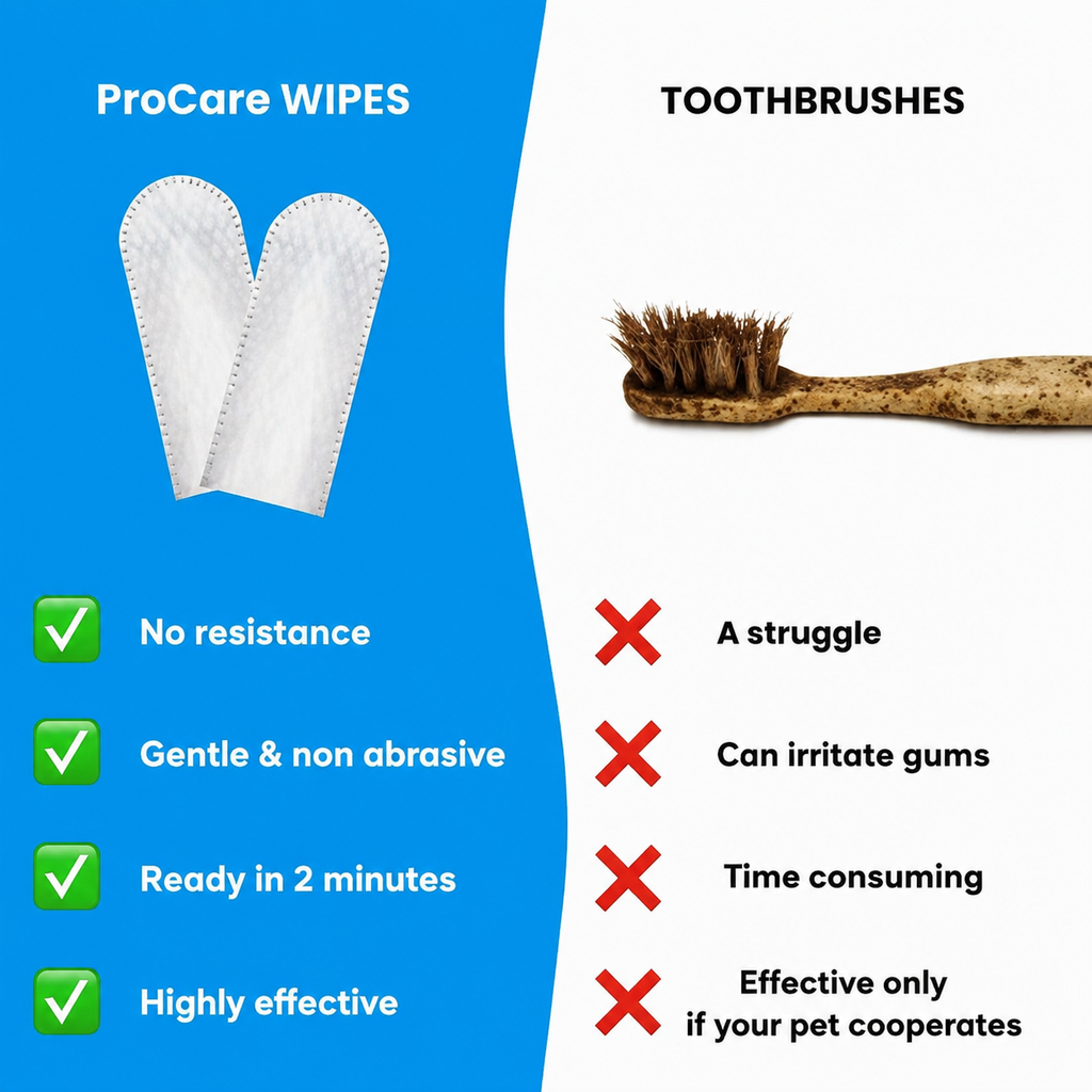 ProCare Dental Wipes
