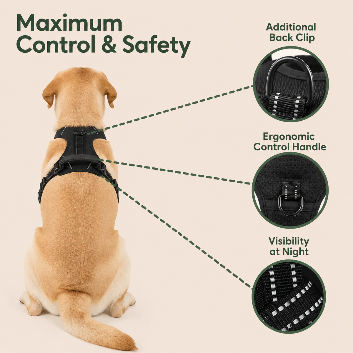 Nubae No Pull Harness