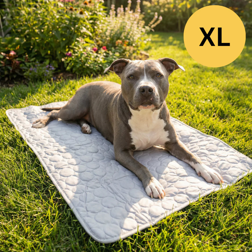 SUMMER COOLING MAT | BUY 1, GET 1 FREE