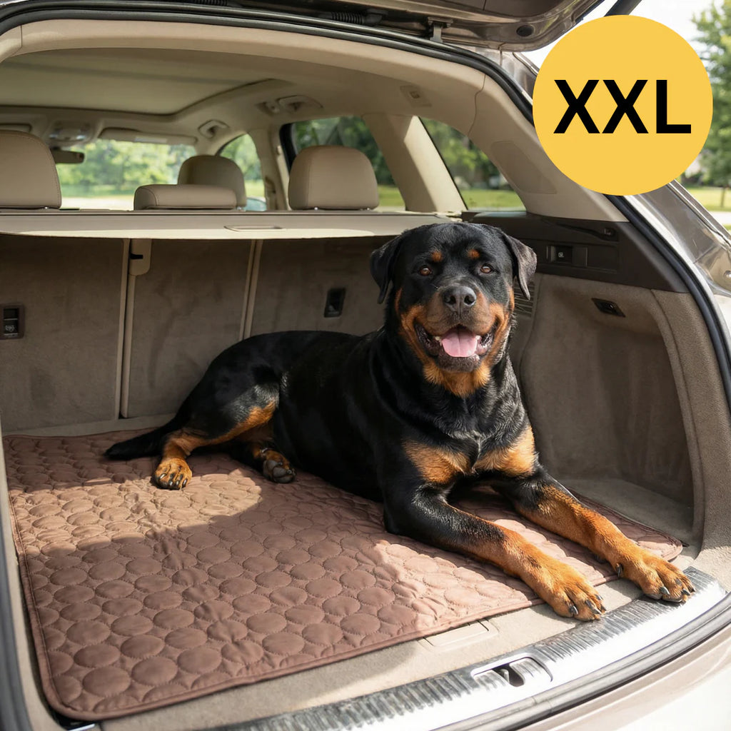 SUMMER COOLING MAT | BUY 1, GET 1 FREE