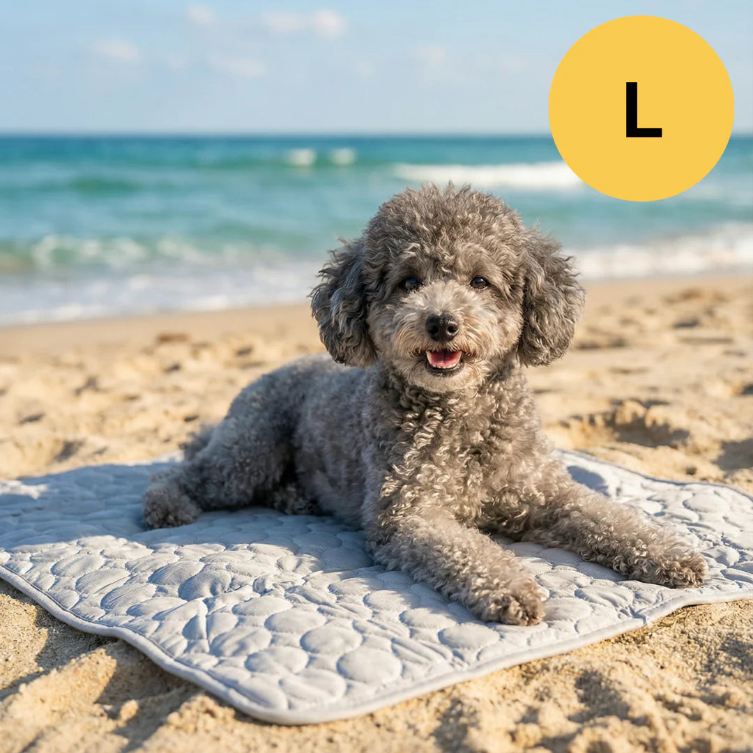 SUMMER COOLING MAT | BUY 1, GET 1 FREE