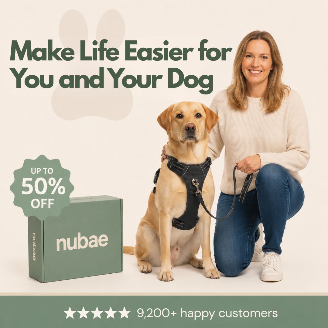 Nubae No Pull Harness